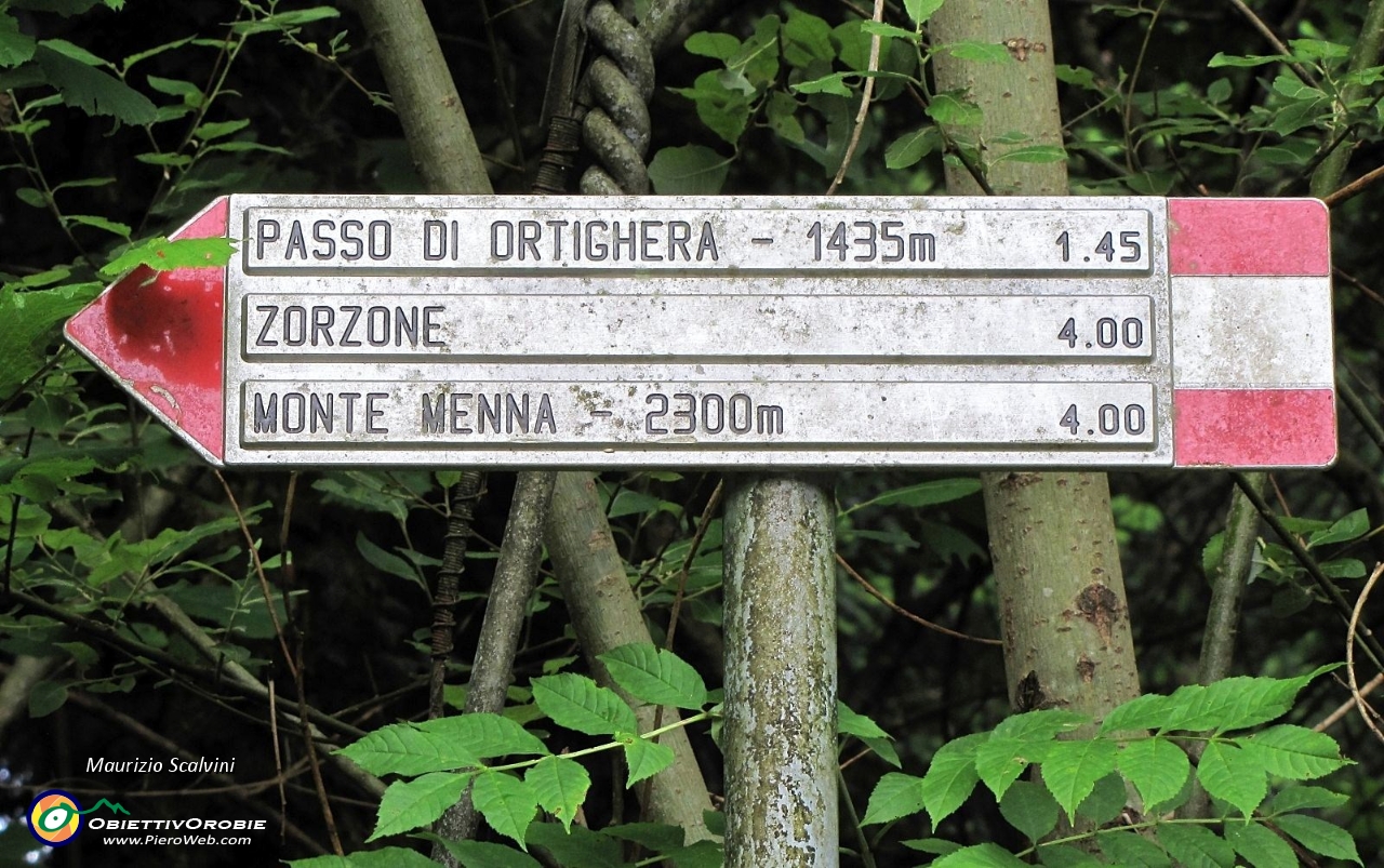 03 Dopo 50 metri si  gira a destra, si entra nel bosco....JPG